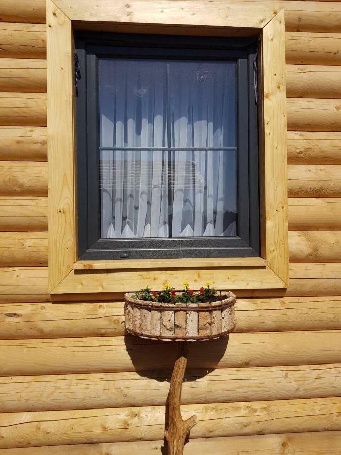 Behappy Woodhouse Βίλα Jastrzębia Góra Εξωτερικό φωτογραφία